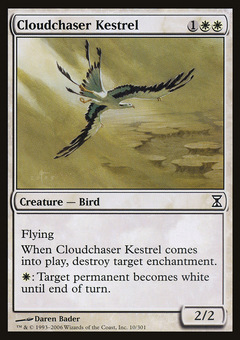 Cloudchaser Kestrel